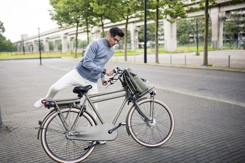 Beste elektrische transportfiets: Cortina E-U4 Transport