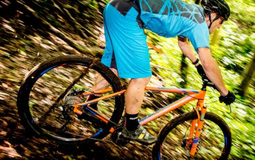 Cube LTD Pro 29 beste mountainbike (MTB) in fietstest