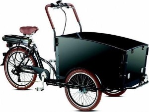 Troy elektrische bakfiets