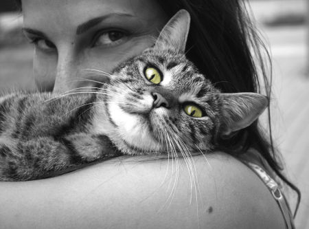 Beste voer kat (nat en droog)