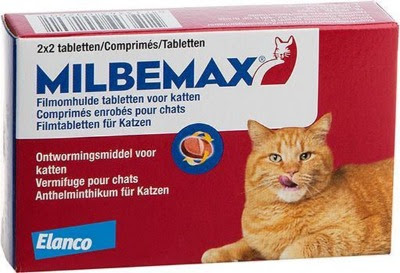 Milbemax ontwormingsmiddel kat