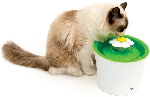 Beste drinkfontein voor kat en hond