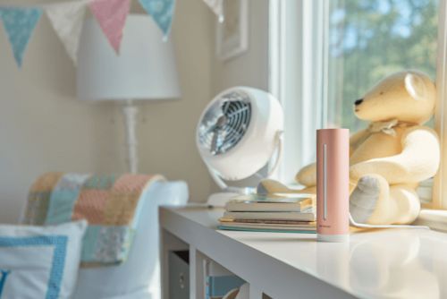 beste ip camera cloud Netatmo beste ip camera cloud Netatmo