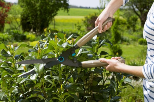 Beste heggenschaar hand test Gardena Beste heggenschaar hand test Gardena