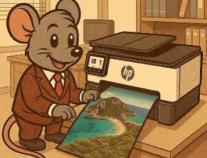 a3 printer