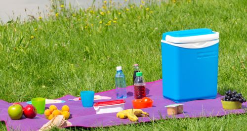 Beste goedkope koelbox: Campingaz Icetime Beste goedkope koelbox: Campingaz Icetime