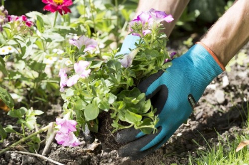Beste tuinhandschoenen Gardena
