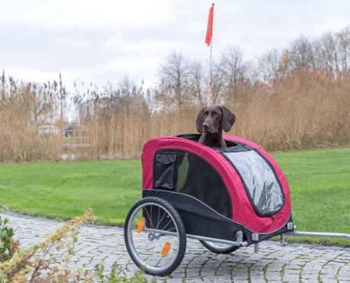 Beste hondenfietskar (hondenkar, fietskar hond)