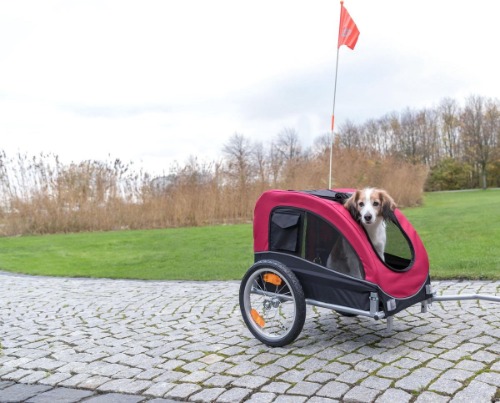 Beste kleine hondenfietskar Trixie