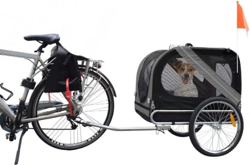 Flamingo fietskar hond
