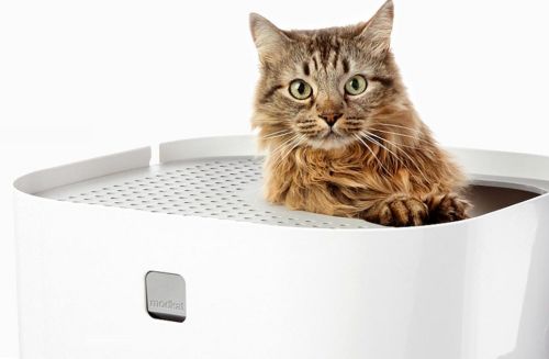 Beste kattenbak uit de test