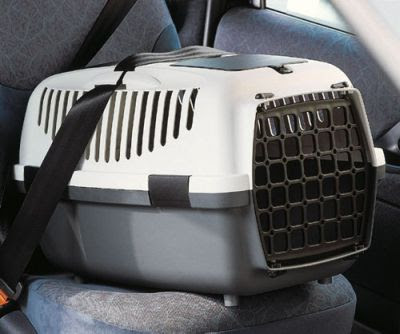 Beste transportbox hond (licht): Stefanplast Beste transportbox hond (licht): Stefanplast