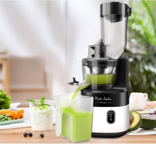 Beste slowjuicer test Taylor Swoden slow juicer