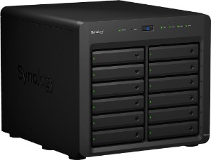 Synology NAS 12 HD's