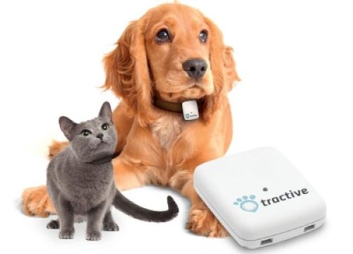 De beste GPS tracker voor een hond of kat