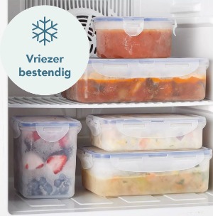 Lock & Lock vershoudbakjes vriezer