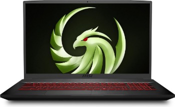 MSI gaming laptop