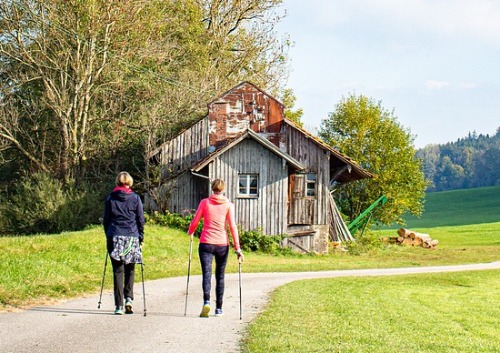 Beste Nordic walking stokken test