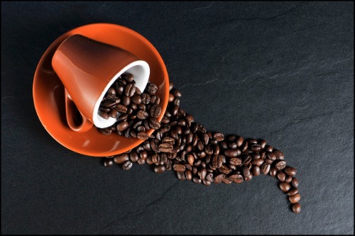 beste koffie test